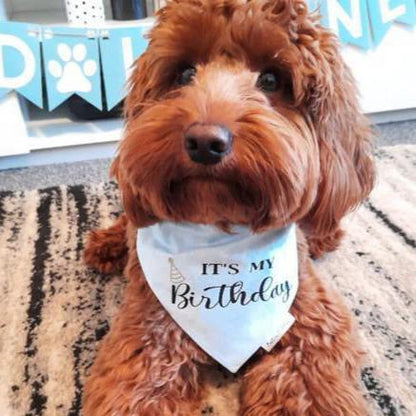 It's My Birthday Bandana - Blue