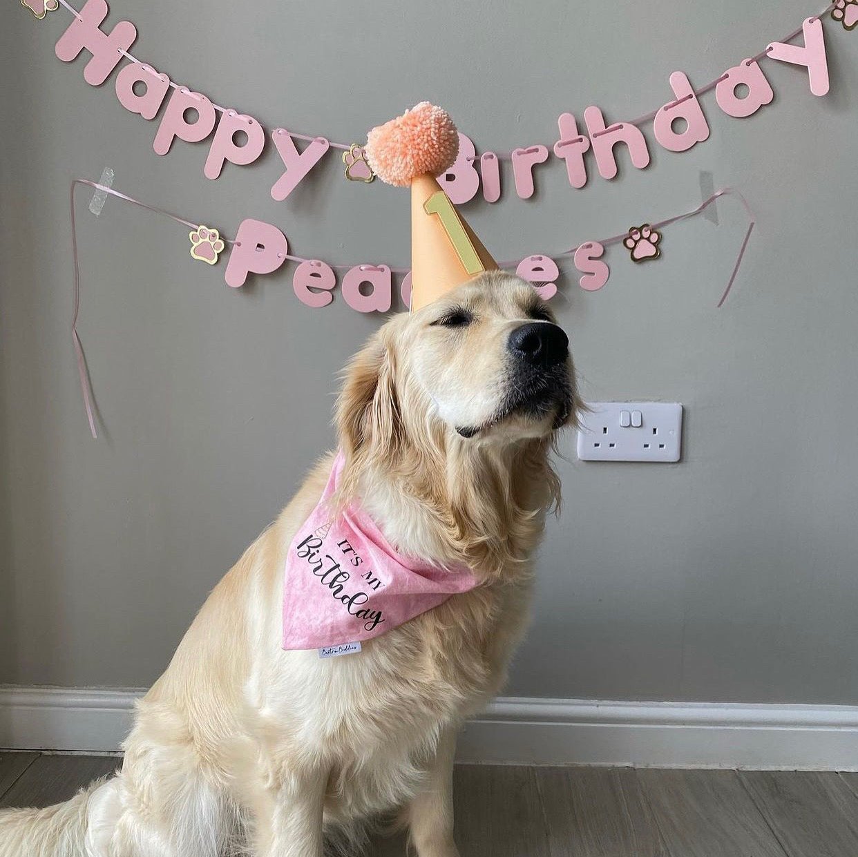 It's My Birthday Bandana- Pink