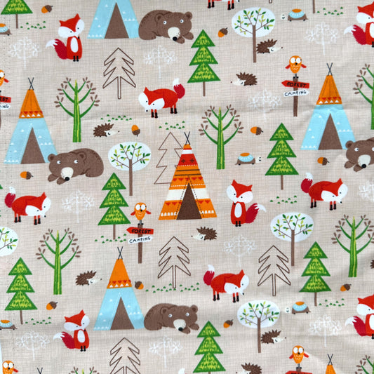 Forest Campsite Collection