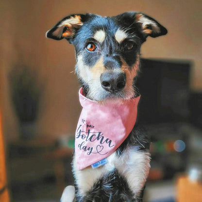 Pink Gotcha Day Bandana