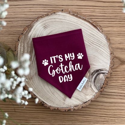 Personalised Gotcha Day Dog Bandana