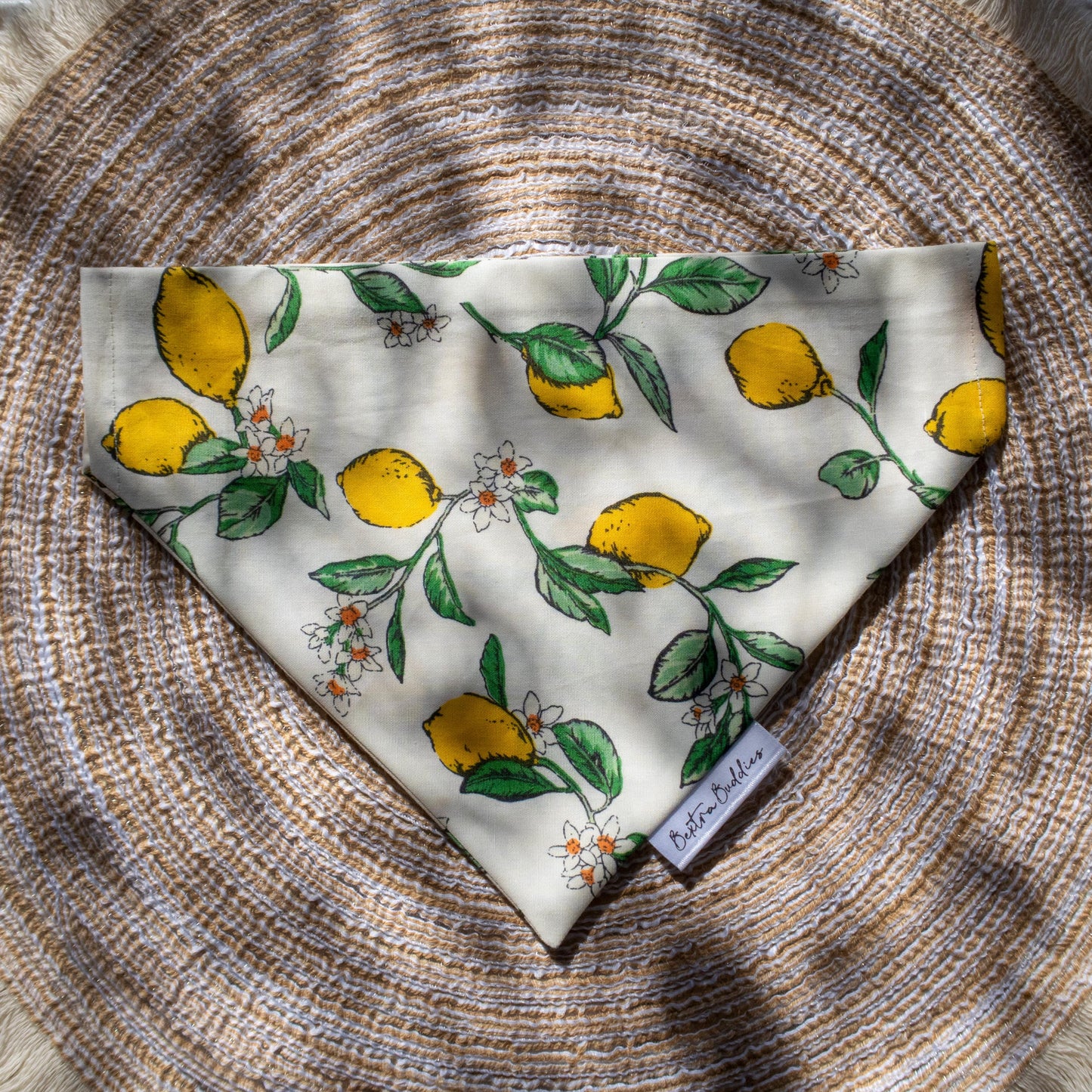 Lemon Dog Bandana