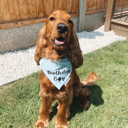 Birthday Boy Bandana