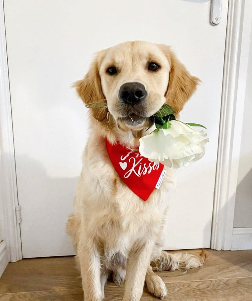 Free Kisses Bandana