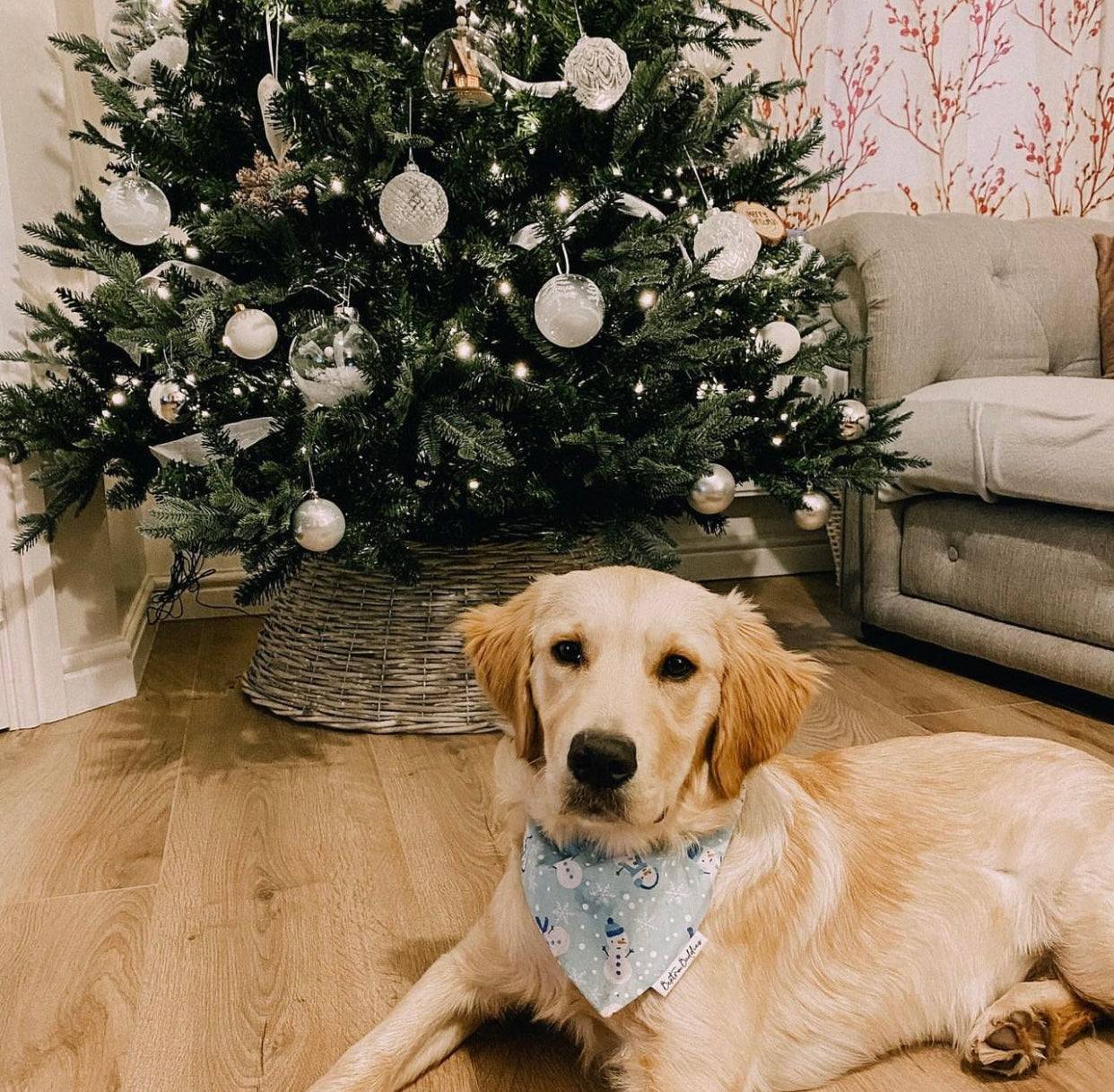 Frosty Dog Bandana