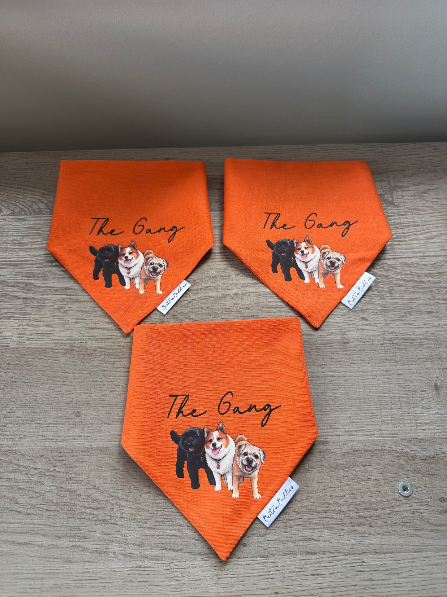 Logo/Design Bandana