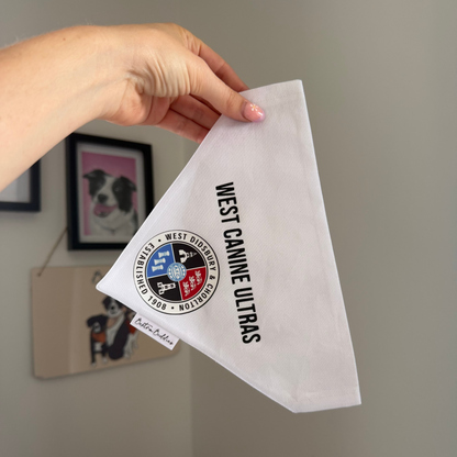 Logo/Design Bandana