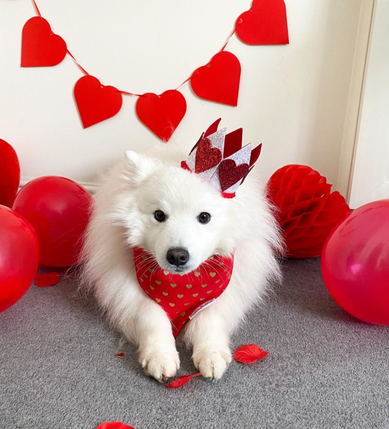 Gold Hearts Bandana