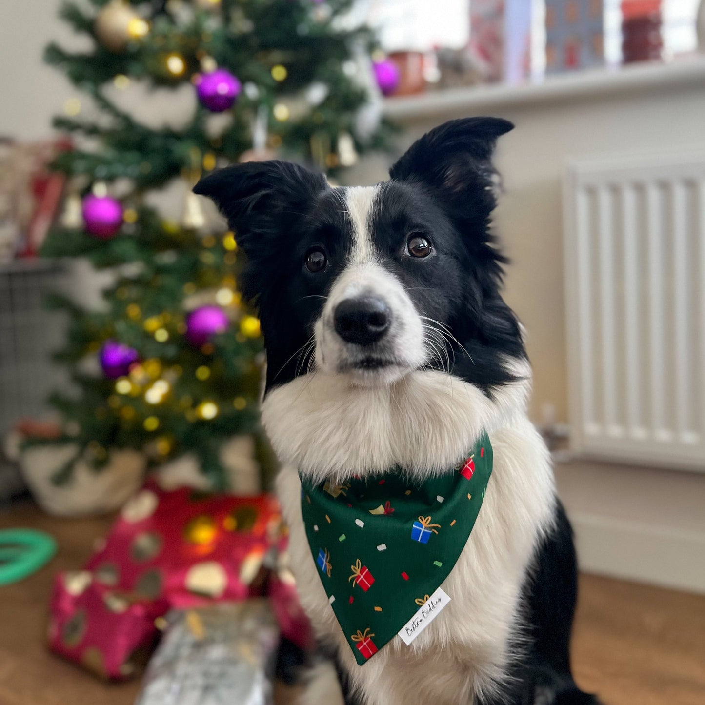 Christmas Gift Bandana