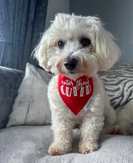 Cuter Than Cupid Bandana