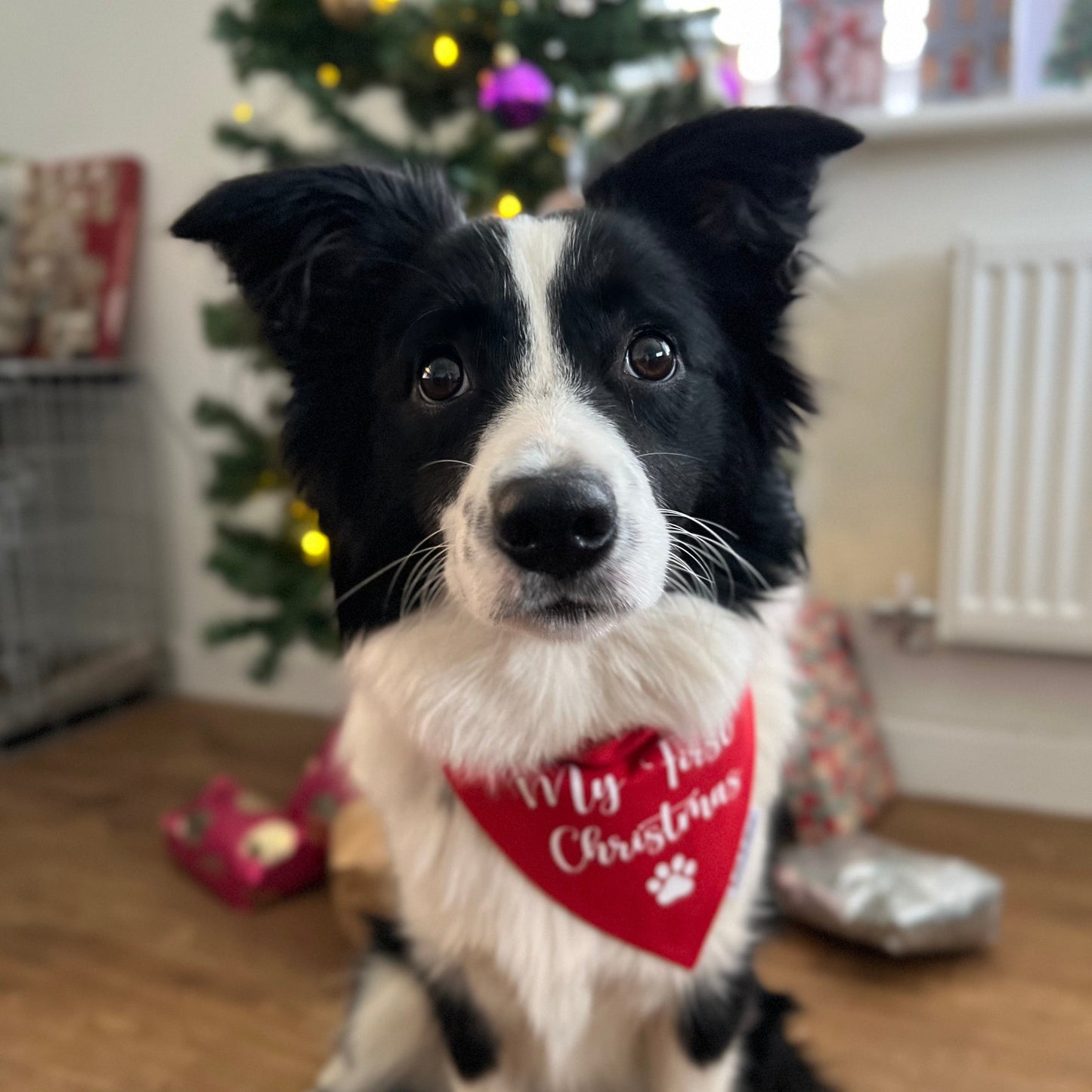 My First Christmas Bandana