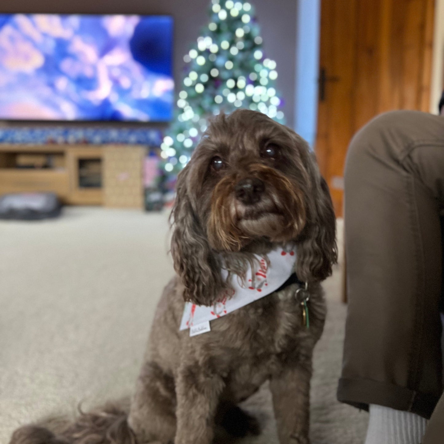 Gonks Dog Bandana