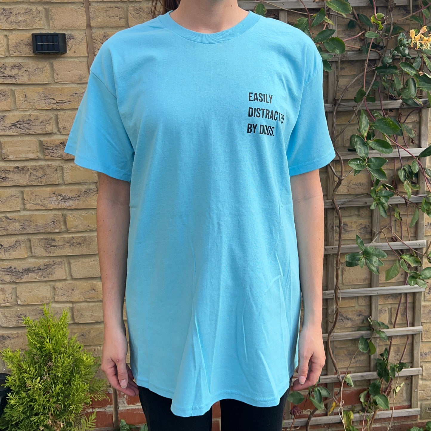 Easily Distracted by Dogs T-Shirt- Blue