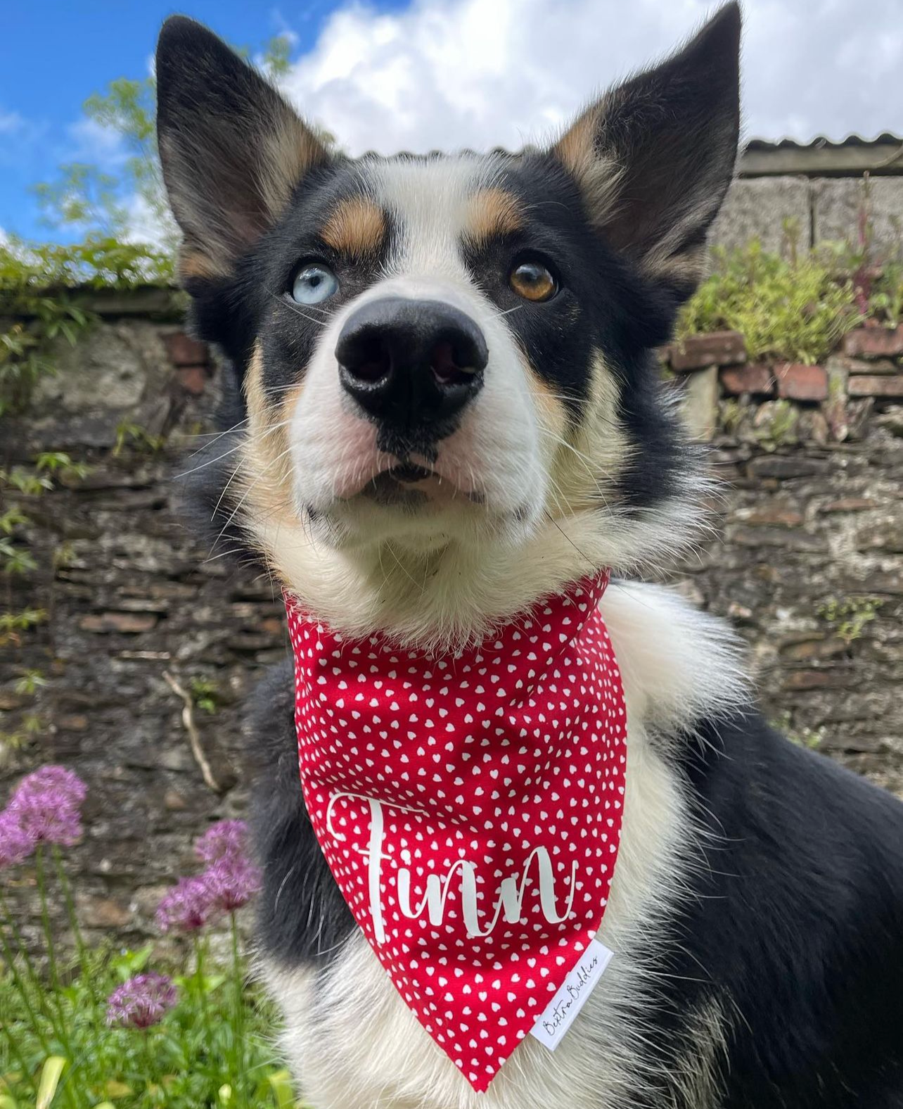 Tiny Hearts Bandana