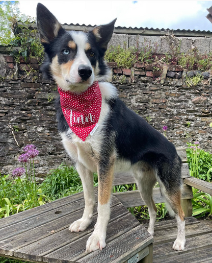 Tiny Hearts Bandana