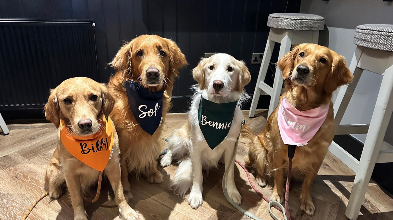 Custom Dog Bandana
