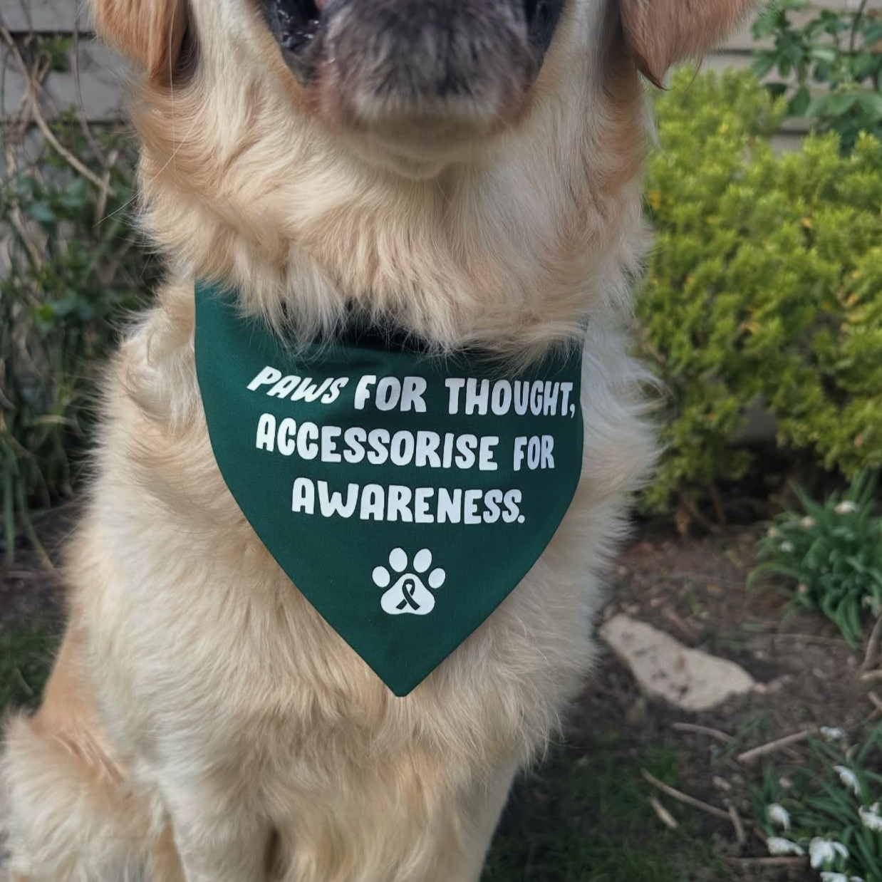 Dog wearing a bandana with text saying 'paws for thought accessorise for awareness' sitting outdoors.