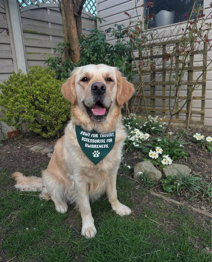 The Paws For Thought Project Bandana