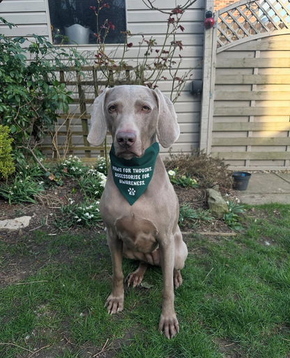 The Paws For Thought Project Bandana