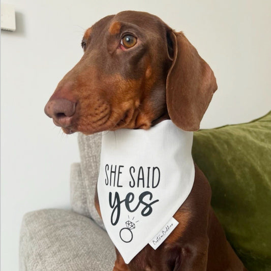 She Said Yes Bandana