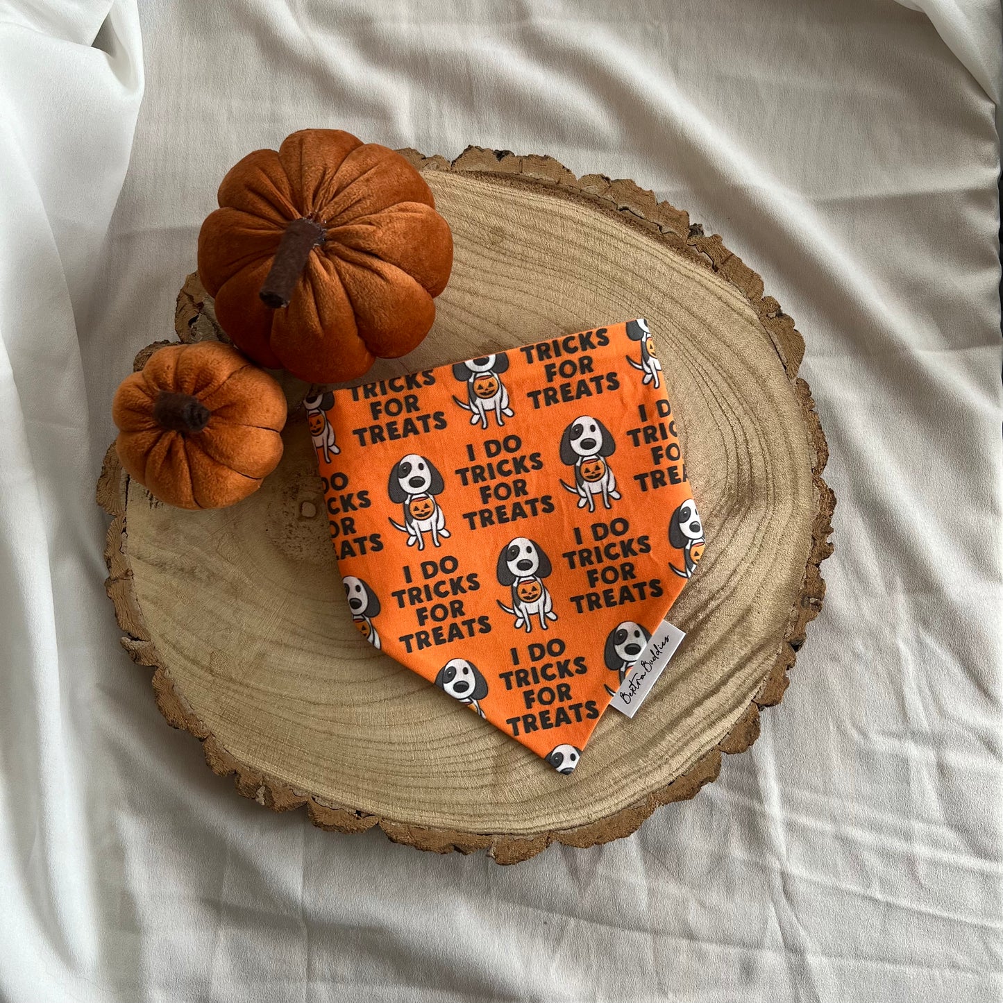 Tricks for Treats Bandana