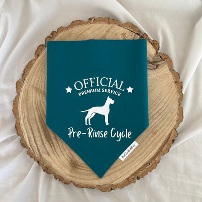 Logo/Design Bandana