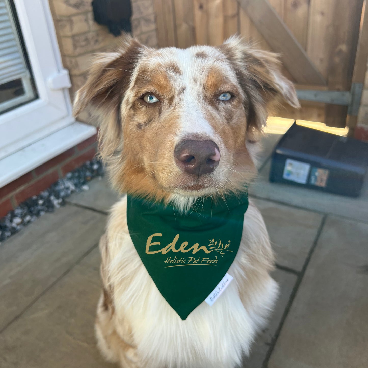 Logo/Design Bandana