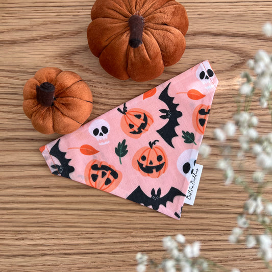 Peachy Pumpkins Bandana