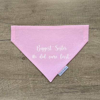 Custom Dog Bandana