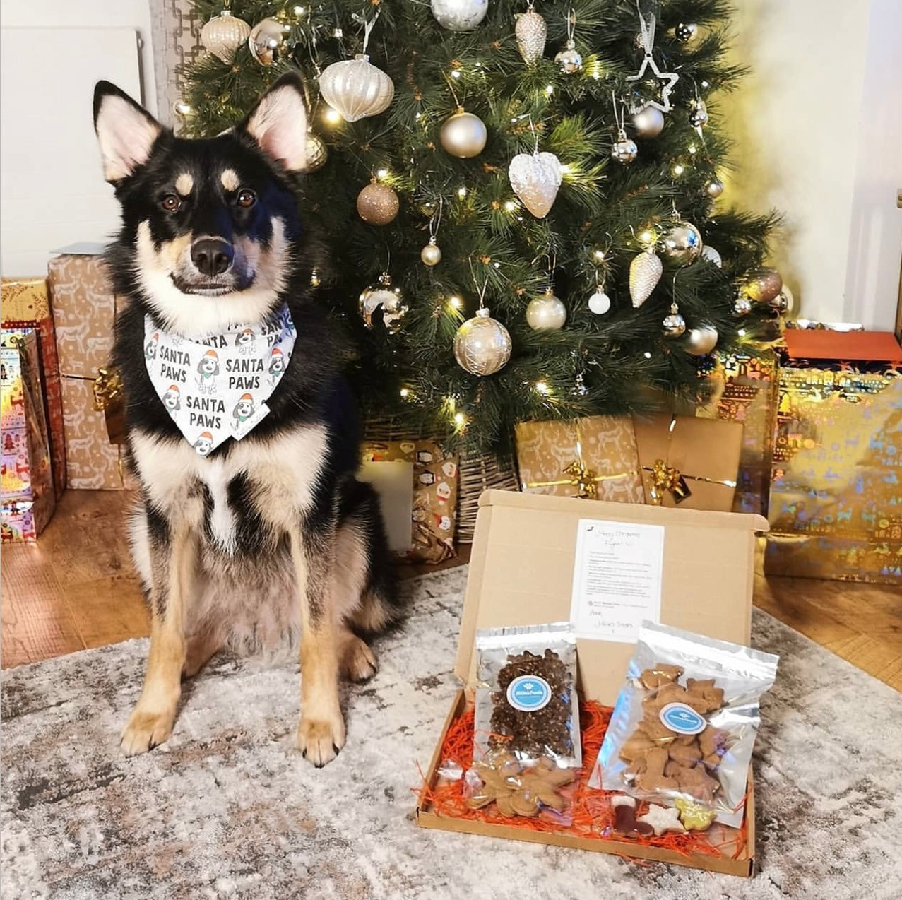 Santa Paws Bandana