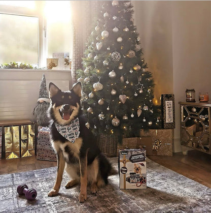 Santa Paws Bandana