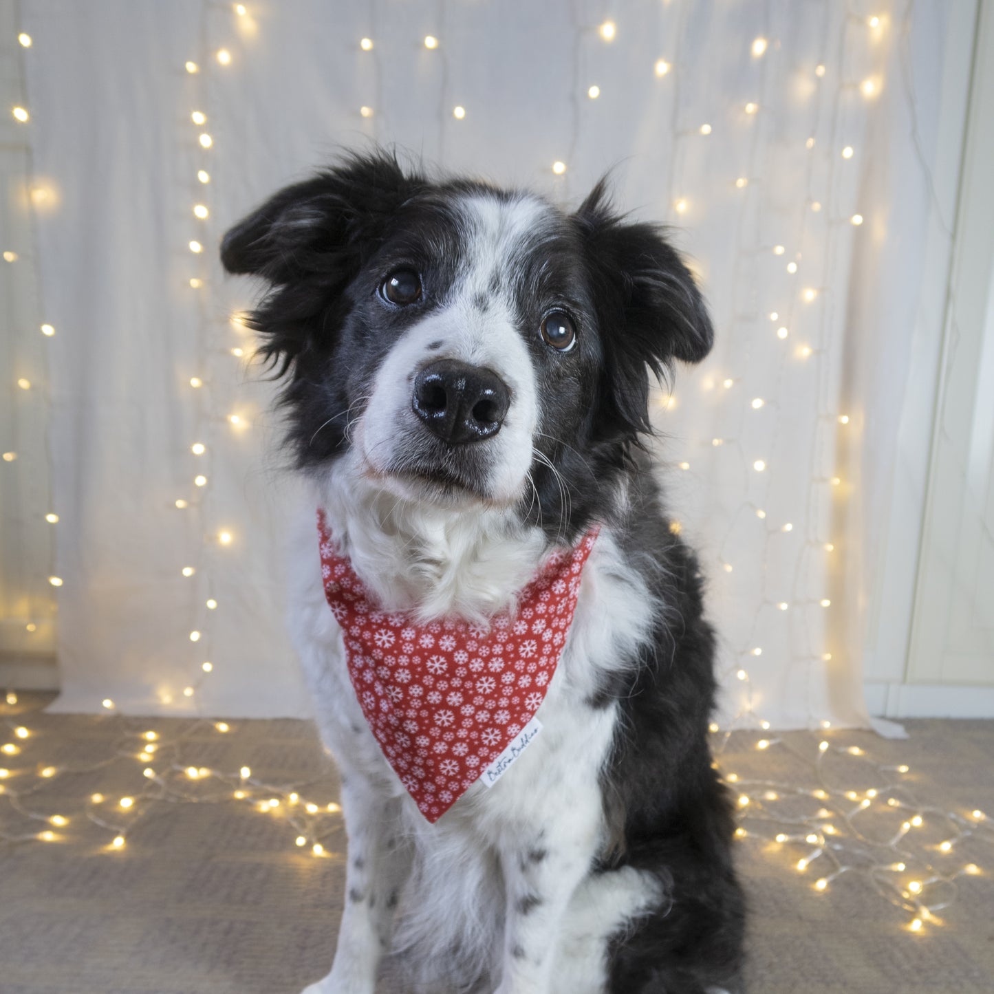 Red Snowflake Christmas Bandana