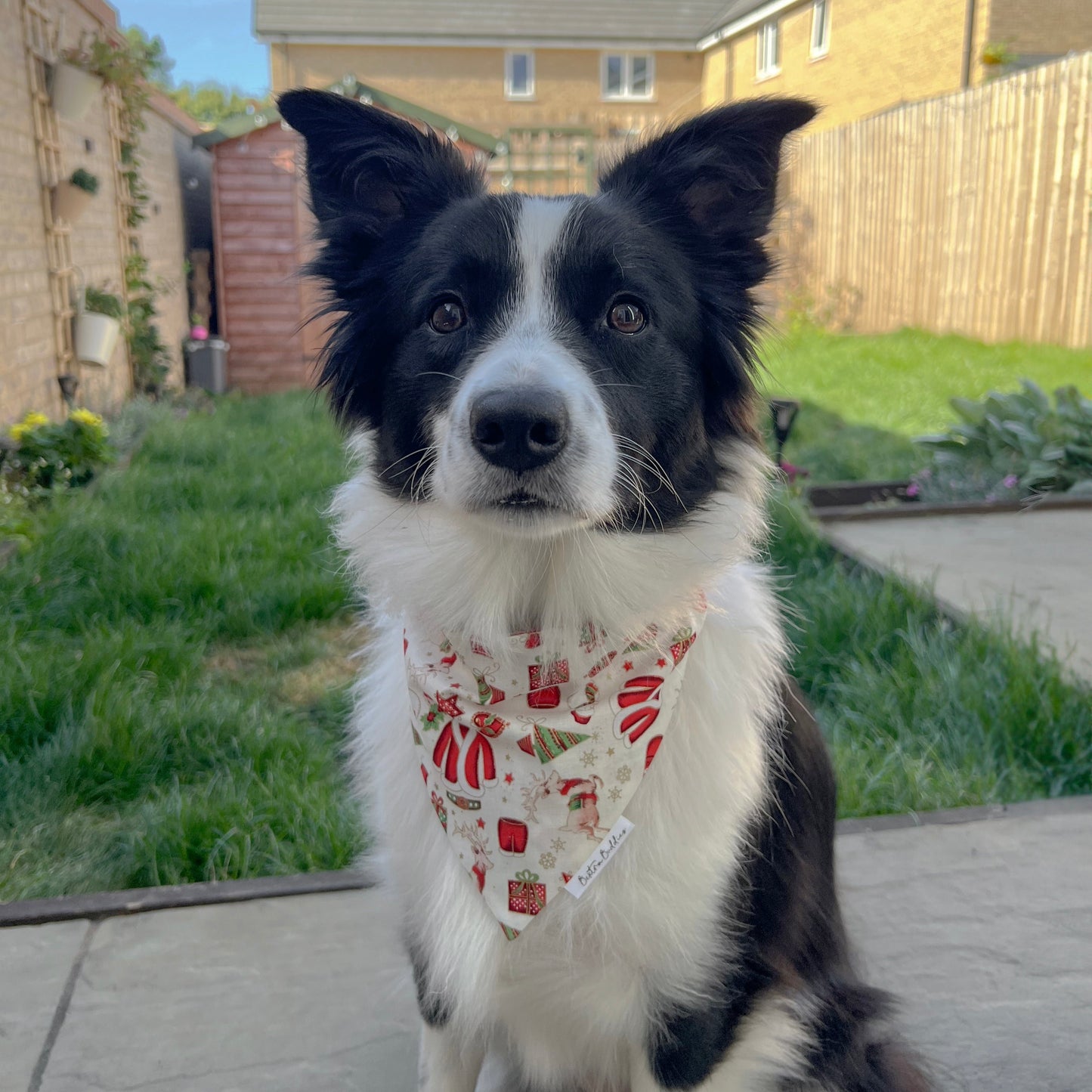 Cosy Christmas Bandana