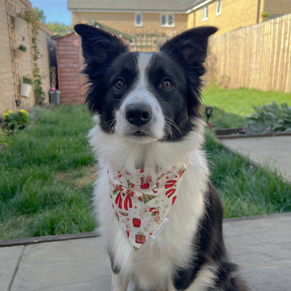 Cosy Christmas Bandana