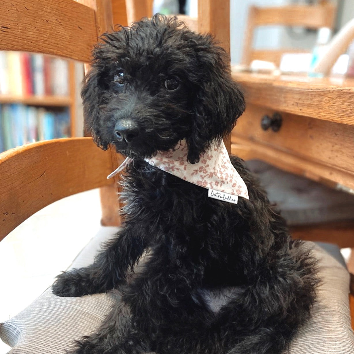 Floral Fantasy Dog Bandana