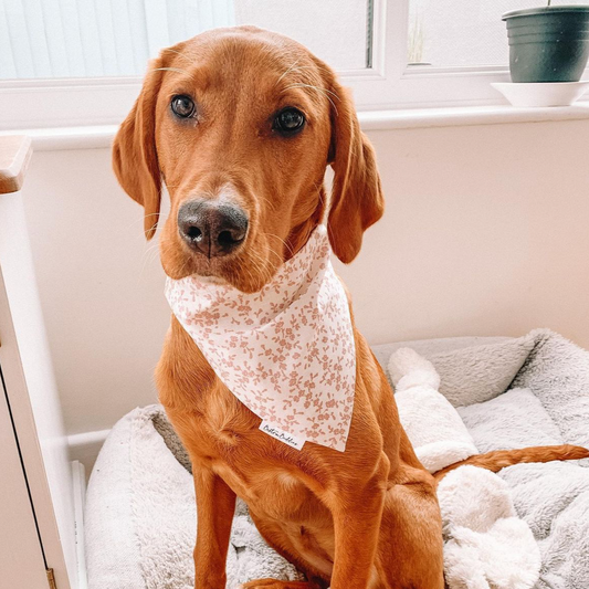 Floral Fantasy Dog Bandana