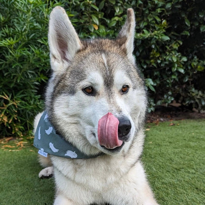 Smiley Ghosts Bandana