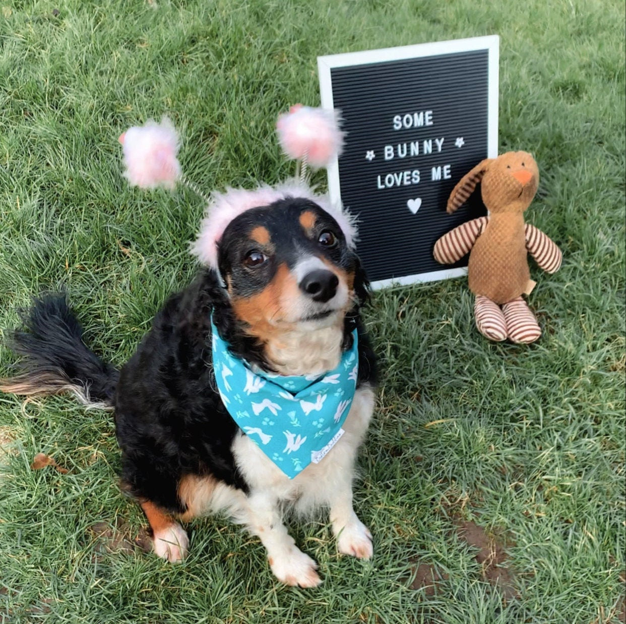 Easter Bunnies Dog Bandana