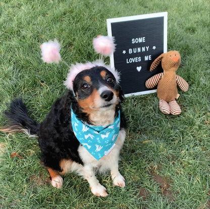 Easter Bunnies Dog Bandana