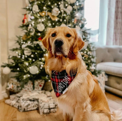 Winter Tartan Bandana