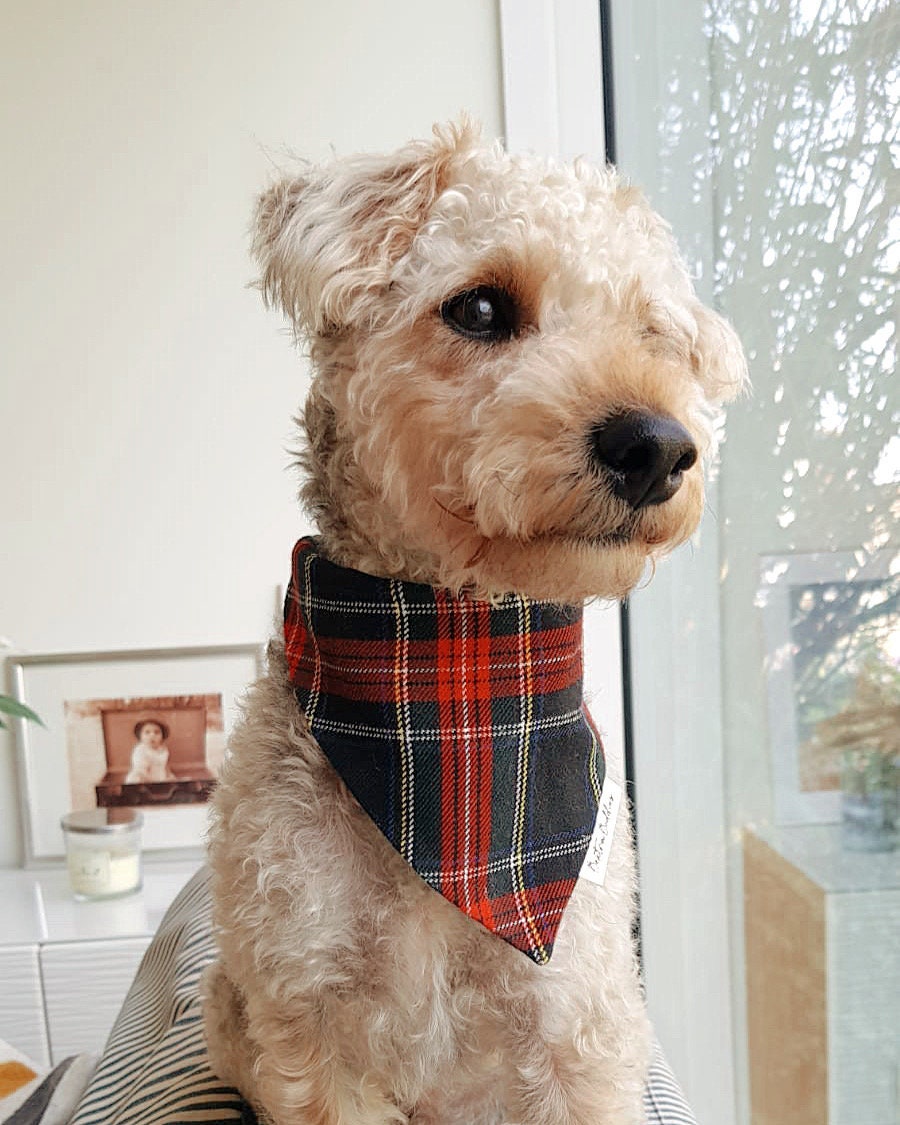 Winter Tartan Bandana