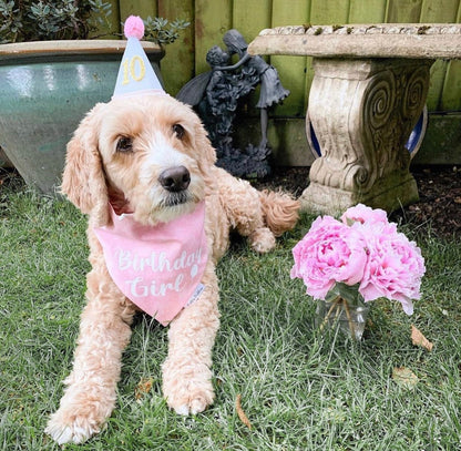 Birthday Girl Bandana