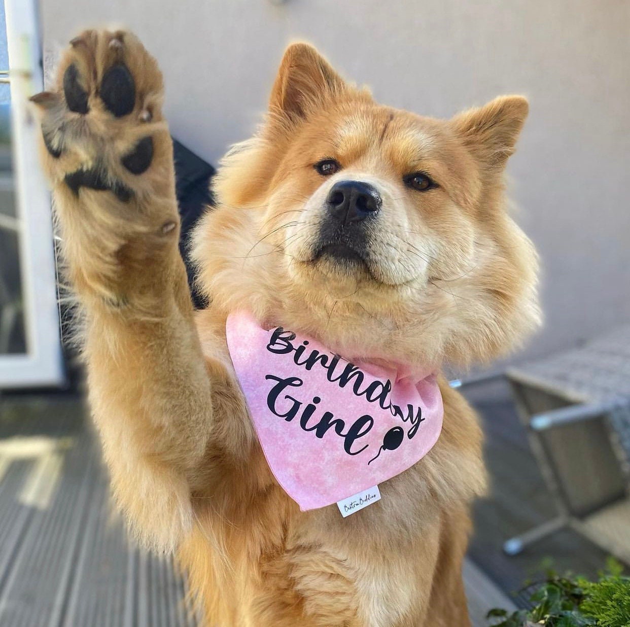 Birthday Girl Bandana