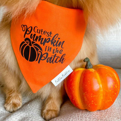 Cutest Pumpkin Dog Bandana