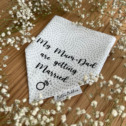 Silver Wedding Bandana