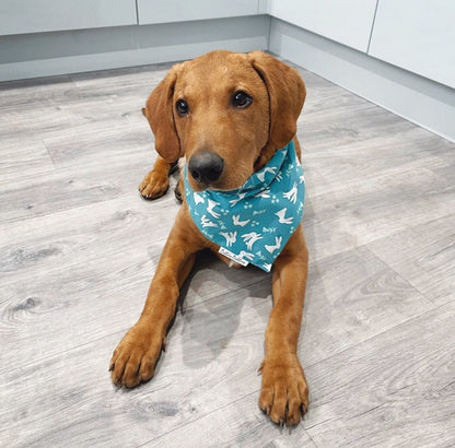 Easter Bunnies Dog Bandana