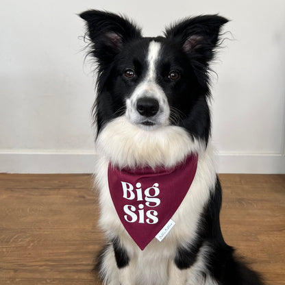 Big Sis Dog Bandanas