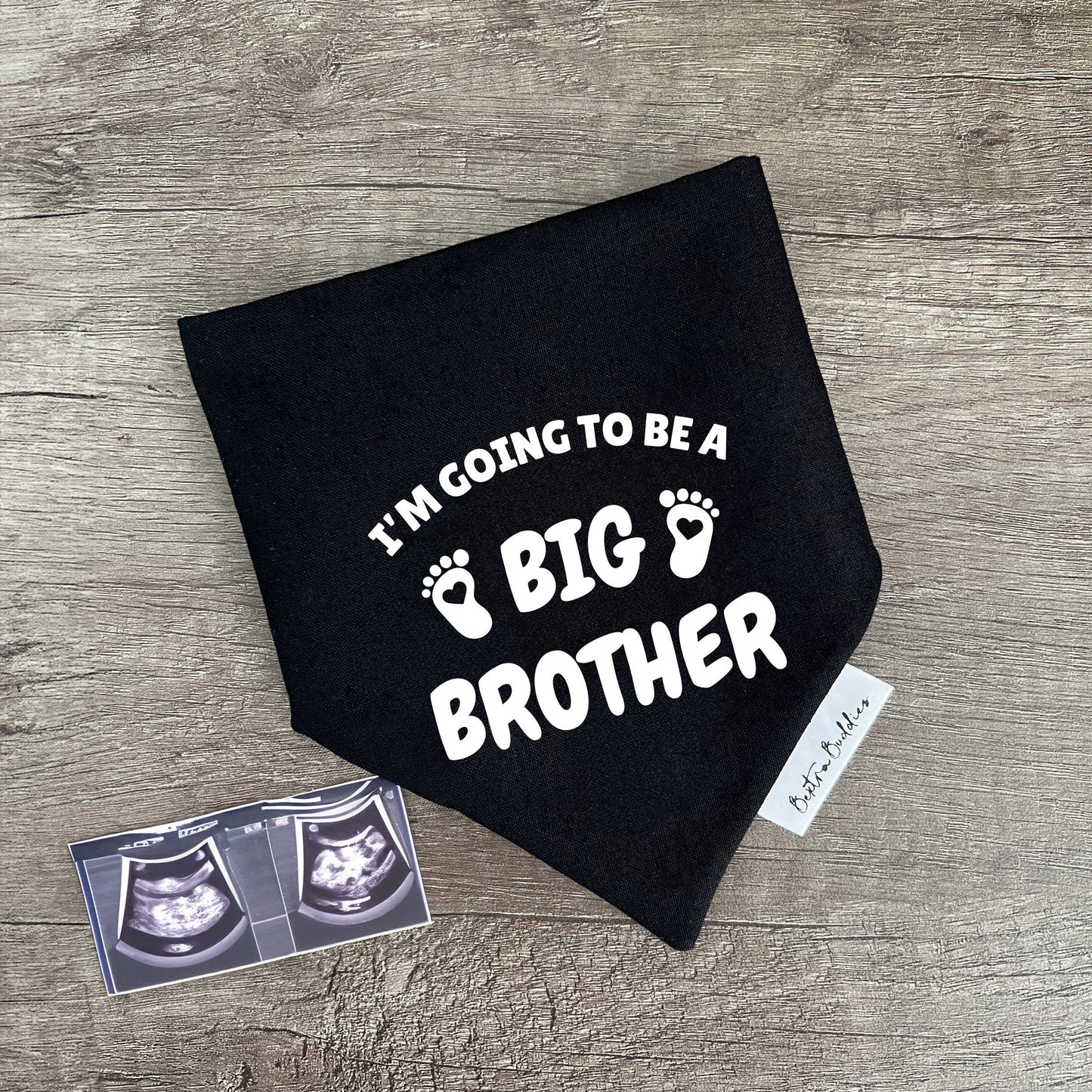 I'm going to be a Big Brother Bandana