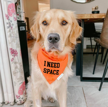 Custom Bandana