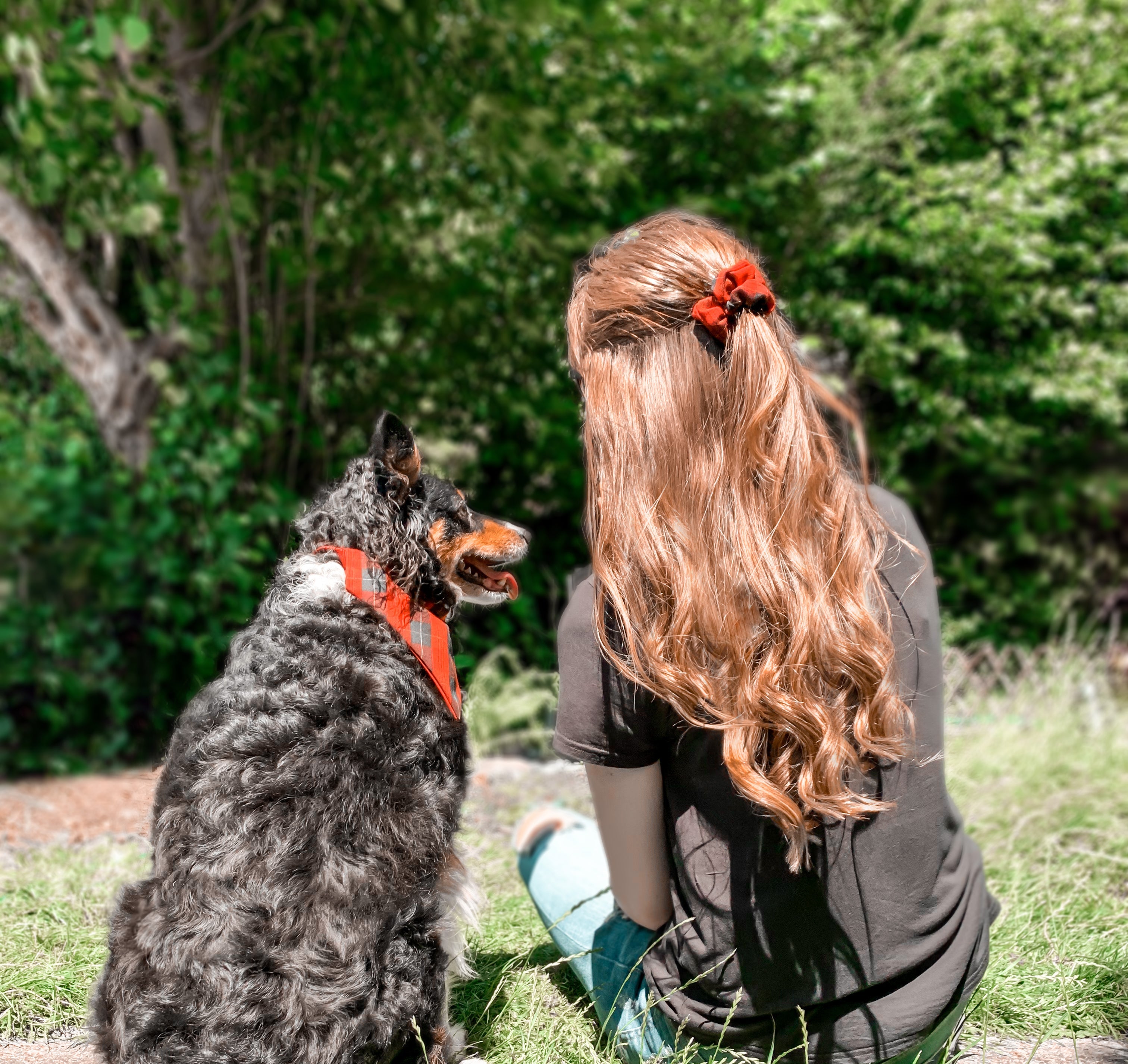 Woman and dog sitting on grass with trees in the background